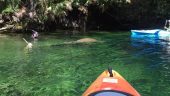 Perfect day kayaking on the Wekiva!