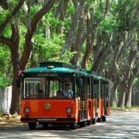 City Tours