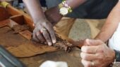 Excellent tour of boutique cigar factory