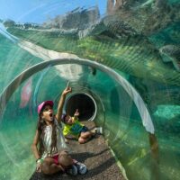 Zoo Tickets & Passes