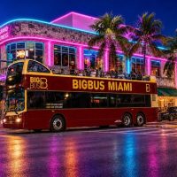 Bus & Minivan Tours