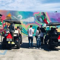 Tours & Sightseeing