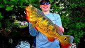 Fantastic trip and nice Peacock Bass!