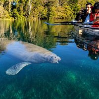 Cruises, Sailing & Water Tours