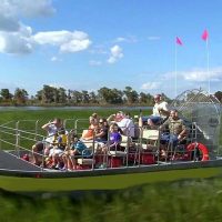 Bus & Minivan Tours