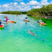 Stand Up Paddleboarding