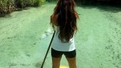 Great little adventure 