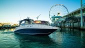 Boat Vibes