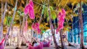 Fabulous tour of Miami Design District!