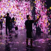 Museum Tickets & Passes