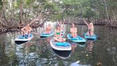 Great Kayaking Experience