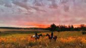 Peaceful horseback ride with champagne after
