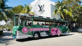 Great tour - recommend