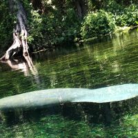 Self-guided Tours & Rentals
