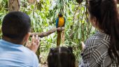 The Flamingo Encounter was a Great Experience!