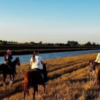 Horseback Riding