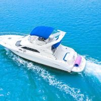 Water Transfers