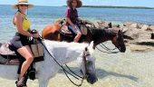 Profession people who love their horses offering beautiful beach ride